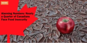 NEWS – Alarming Numbers_ Nearly a Quarter of Canadians Face Food Insecurity_11zon