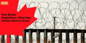 YNFO YOU CANADA – New Border Regulations_ What Dog Owners Need to Know_11zon