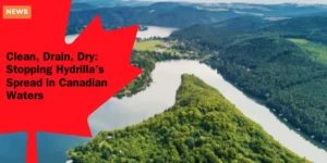 YNFO YOU CANADA – Is Bilingualism a Fiction Poll Highlights Divide Between Quebec and Other Provinces_11zon